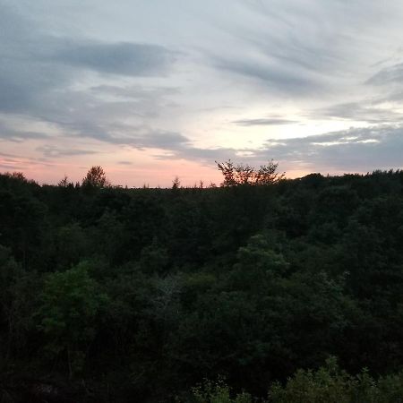Judique Inn On The Intervale מראה חיצוני תמונה