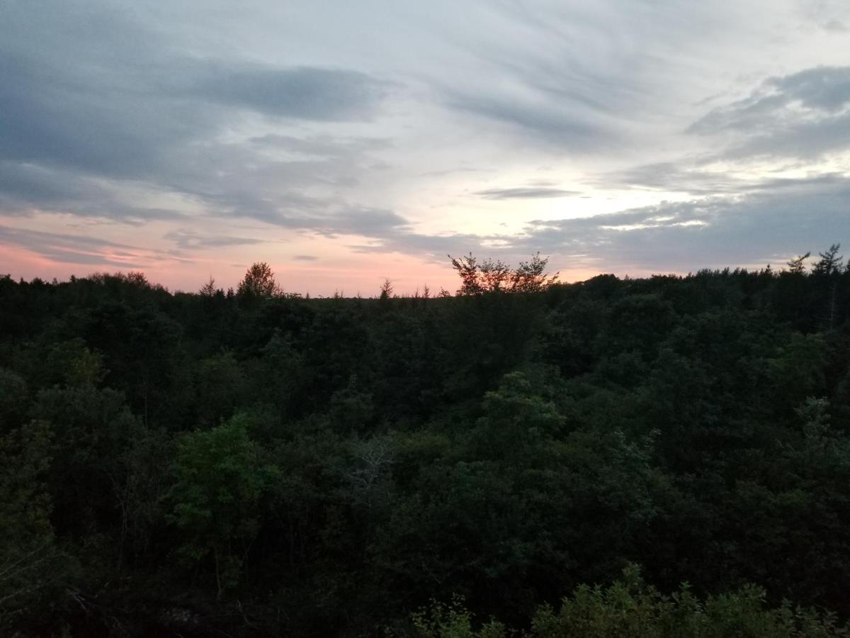 Judique Inn On The Intervale מראה חיצוני תמונה